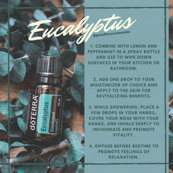 Eucalyptus Spray Bottle GIF