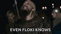 Even Viking Floki Knows GIF