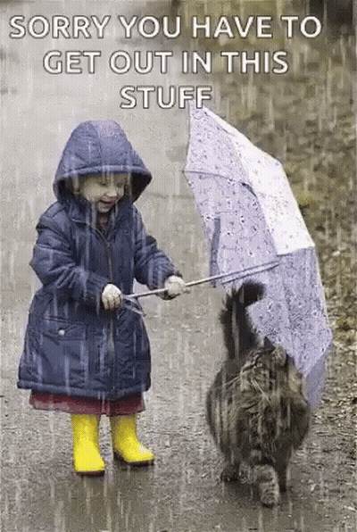 Event Staff Walking With Man In Suit GIF