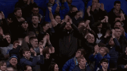 Everton Fc Cheering Fans GIF