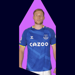 Everton Fc Van De Beek GIF