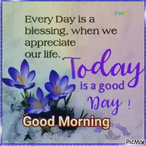 Every Day Is A Blessing , When We Appreciate Our Life . Today Is A Good Day . GIF