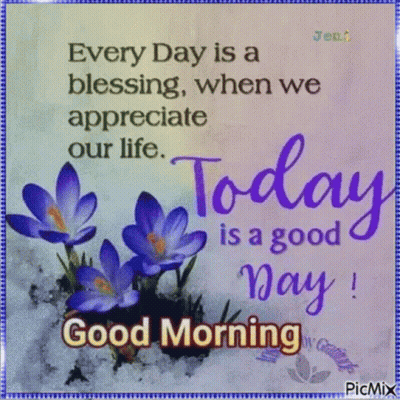Every Day Is A Blessing GIF