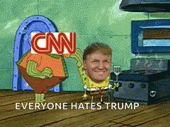 Everyone Hates Donald Trump Meme GIF