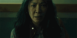 Everything Everywhere All At Once Michelle Yeoh Kung Fu Fight GIF
