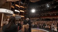 Everything Everywhere All At Once The Oscars Academy Awards GIF