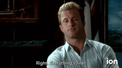 Everythings Fine Hawaii Five 0 Daniel Williams GIF