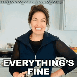 Everythings Fine Sharzad Kiadeh GIF