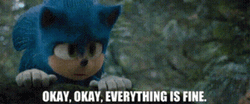 Everythings Fine Sonic The Hedgehog GIF