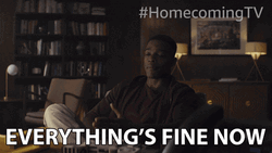 Everythings Fine Walter Cruz Homecoming GIF