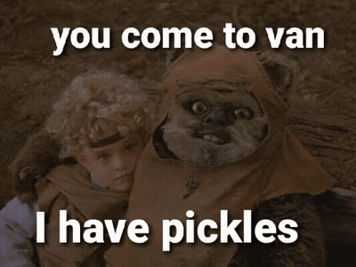 Ewok And Little Girl You Come To Van I Have Pickles GIF