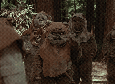 Ewok Bears Standing In Woods GIF