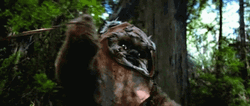 Ewok Got Speared GIF