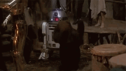 Ewok Just Feeling The Music GIF