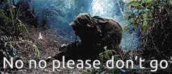 Ewok No Please Don't Go GIF