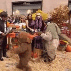Ewok On A Halloween Party GIF
