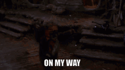 Ewok On My Way GIF