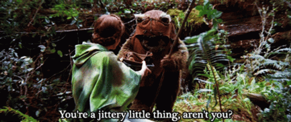 Ewok Trying To Check Something GIF