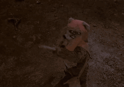 Ewok Trying To Fight GIF