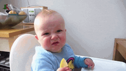 Ewwww Disgusted Baby Grossed Out  GIF