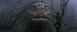 Exaggerated Turtle Sneeze GIF