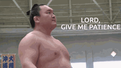 Exasperated Hakuhō Shō Give Me Patient GIF