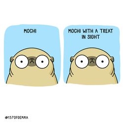 Excited Dog Mochi Treat GIF