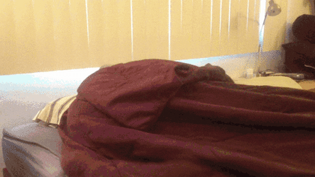 Excited Interested GIF