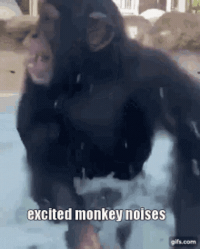 Excited Monkey Noises GIF