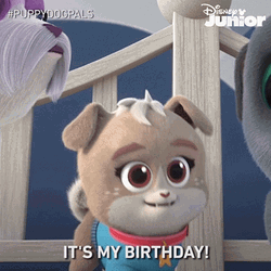 Excited Puppy It's My Birthday GIF