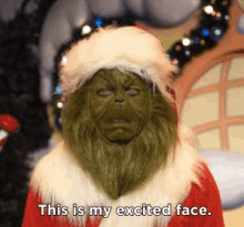 Excited Santa Claus Grinch Meme Face GIF