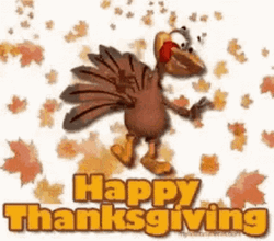 Excited Turkey Animated Thanksgiving GIF
