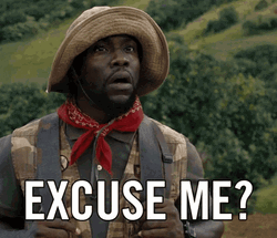Excuse Me Kevin Hart Jumanji GIF