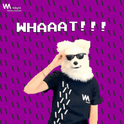 Excuse Me Whaaat Wolf Head GIF