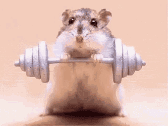 Exercise Fat GIF