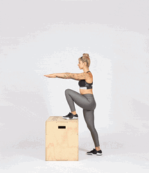 Exercise Plyo Box Step-ups