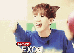 Exo Versus Exo Laughing Wolf Ears