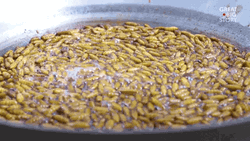Exotic Food Sizzling Crickets GIF