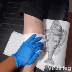 Expectation Versus Reality Tattoo GIF