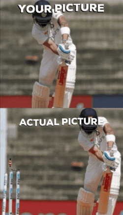 Expectation Vs Reality Photo In Crickets Meme Game GIF