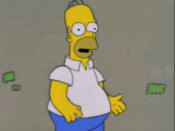 Explaining Homer Doh GIF