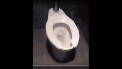 Explode Toilet Explosion GIF