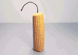 Exploding Corn Making Pop Corns GIF