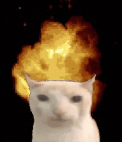Explosion Cat GIF