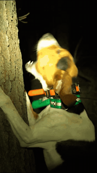 Expressing Love After Misunderstanding GIF