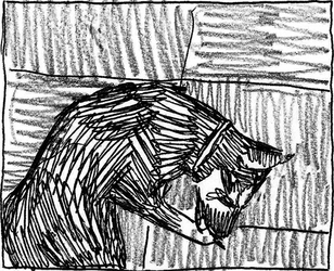 Expressive Dog Chasing Tail Drawing GIF