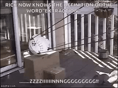 Extraction Squirrel GIF