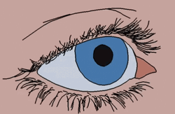 Eye Rolling Close Up Animation GIF