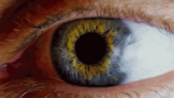 Eye To Extreme Close Eye Iris GIF