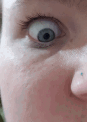 Eye To Eye Zoom In GIF